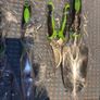Garden Tool Set Image 2