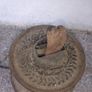 Oil Lamp Image 5