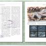 2000 Jersey (Channel Islands) Stamp Year Book (softback) issued by Jersey Post with 16 images of contents Image 9