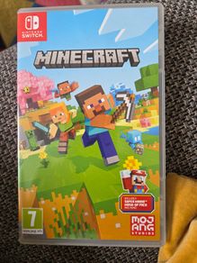 Minecraft nintendo switch
