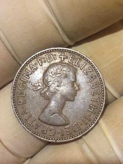 Elizabeth Halfpenny  x28 Pictures of each coin
