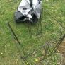 Pet carrier, folding foldaway, rescue Image 2