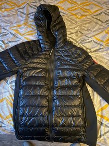 canada goose hybrid