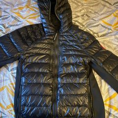 canada goose hybrid