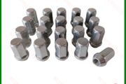 20 x New Nuts. Opel Insignia (2008-16) CD20. Delivery