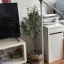 ikea floor lamp like this in photo but white not black Image 2
