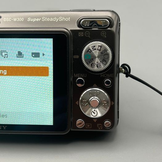 Sony DSC-W300 13.6MP Digital Camera Titanium - Full Kit
