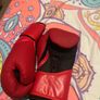 Everlast Boxing gloves 10oz Image 2
