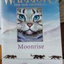 Warriors 'The New Prophecy' Image 3