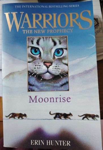 Warriors 'The New Prophecy'