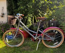 Girl's Bike 20''