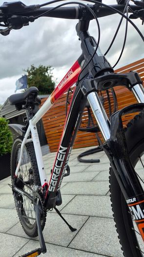 Mens Bike