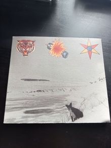 Beta Band - The Three EPs CD