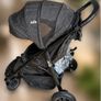 Buggy Image 2