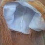 Lion hat Image 3