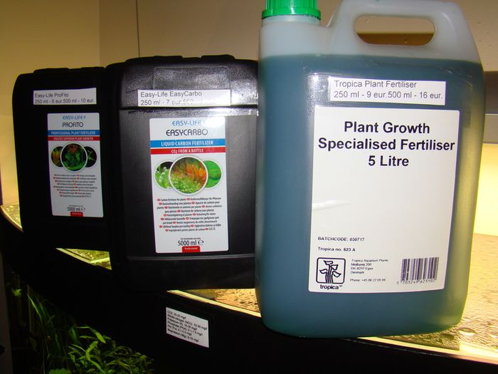 Aquarium plants