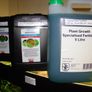 Aquarium plants Image 10