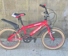 Ignite Team Sprint 18 inch bike
