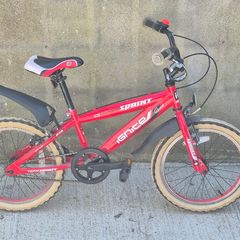 Ignite Team Sprint 18 inch bike
