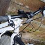 Ladies bike/careera bike Image 4