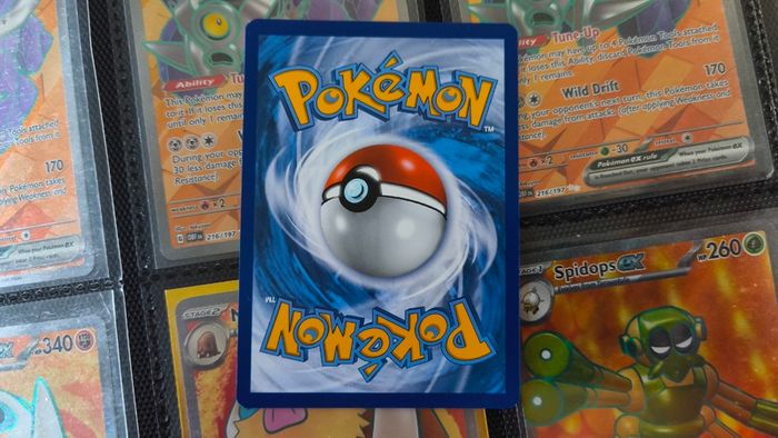 Morpeko ! Promo from Sword & Shield Era ! 2021 ! Pokemon Card !