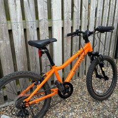 Ridgeback bike 20'