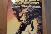 DC Batman - Batman under the cowl