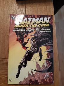 DC Batman - Batman under the cowl