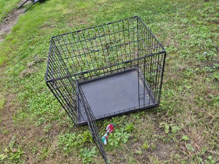 dog cage