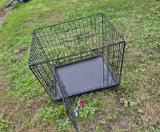 dog cage