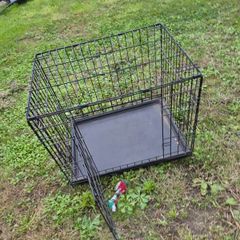 dog cage