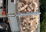 Firewood for sale
