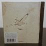 Sigur Ros Takk.. CD Album Image 3