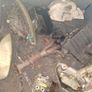 2002 ford mondeo 1.8 petrol Image 6