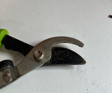 Telescopic Garden Loppers / Pruning Shears
