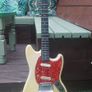 Mustang Image 4