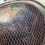 Chimnea Image 4