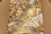 christmas table mats and coasters