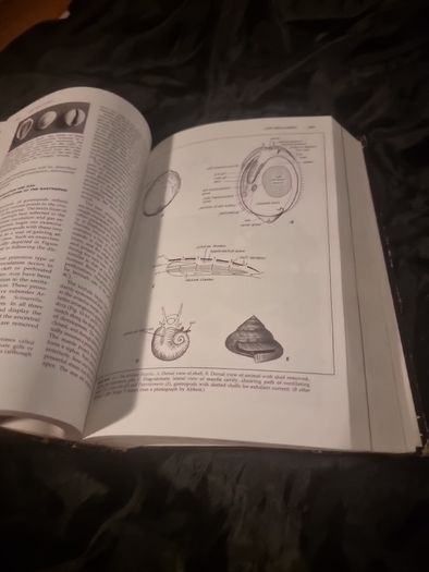 Invertibrate Zoology . 4th edition(Hardcover Illustrated Boards)