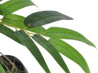 main image for ad Artificial Plant Ficus Tree with Pot 110 cm