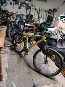 ferrini mtb