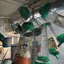 bird feeders Image 3
