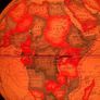 1980's Scan Denmark Light Up Globe Image 10