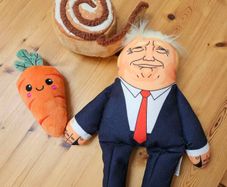 dog toys
