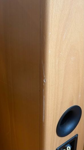 Sony Floor Standing