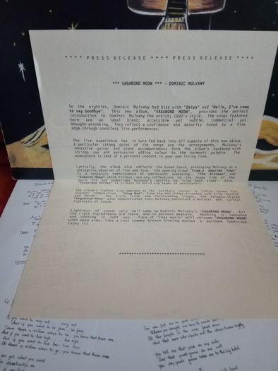 Dominic Mulvany - Vagabond Moon (Rare Vinyl LP)