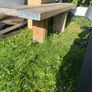 wooden bench Image 2