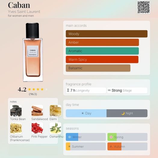 YSL - Caban
