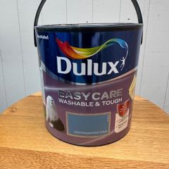 Paint