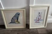 dog pictures